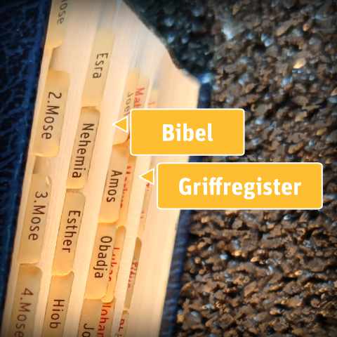 Bibel Griffregister