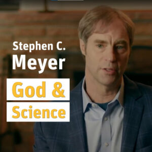 Zur Webseite von Stephen C. Meyer